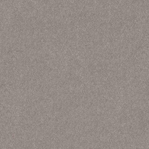 BEST SERIES I in Mystic Heather Carpet