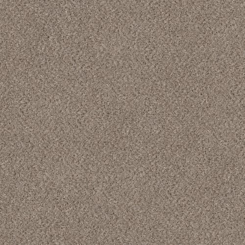 CURIOUS FEELING in Baltic Stone(T) Carpet