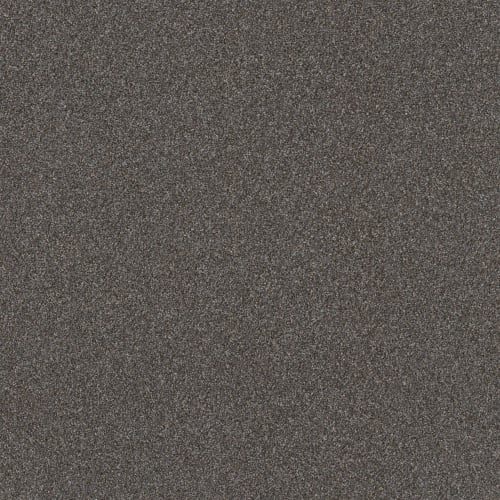 INSTANT APPROVAL in Gauntlet Gray Carpet