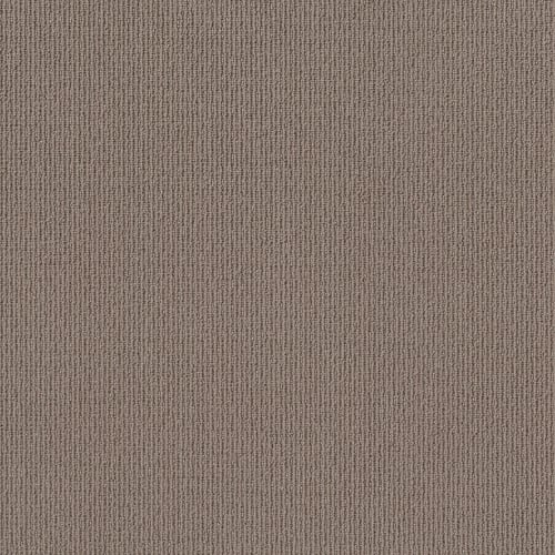 SILENT TOUCH in Branch Carpet