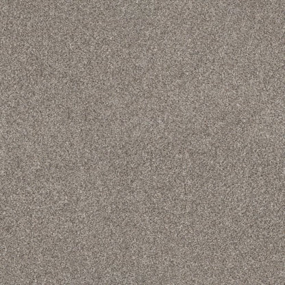 PURE SIMPLICITY in Mushroom Carpet