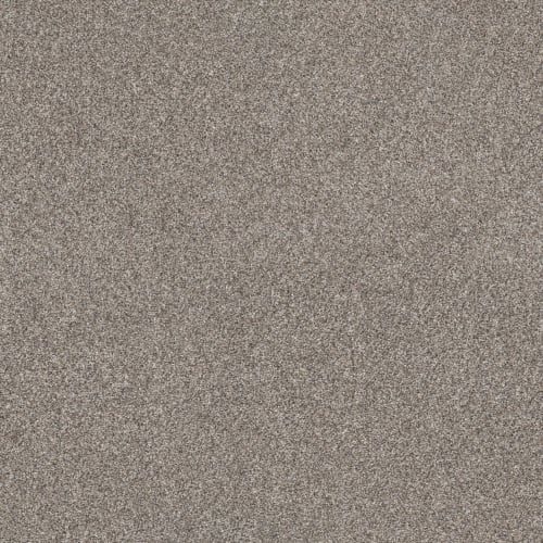 PURE SIMPLICITY in Mushroom Carpet
