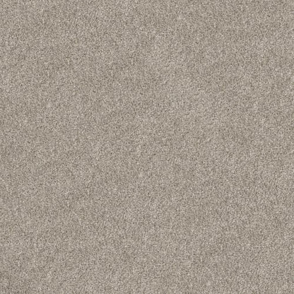 PURE SIMPLICITY