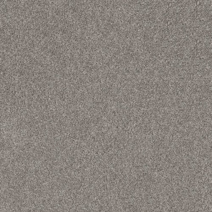 PURE SIMPLICITY