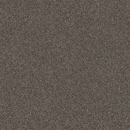 JAZZY MOMENT in Smoke Embers Carpet