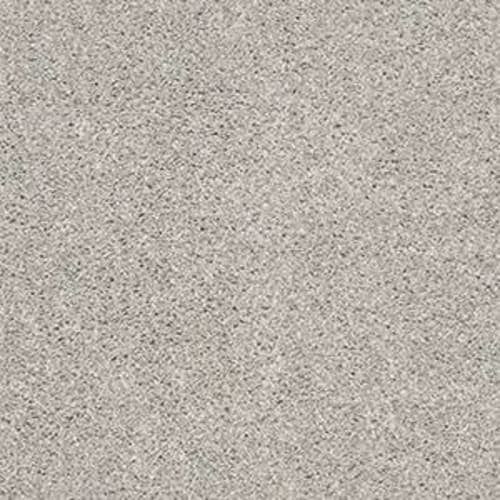 WELCOME SIGHT in Birch Carpet
