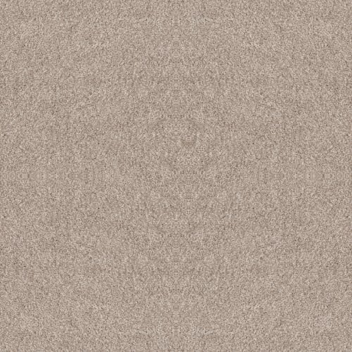 HAPPY ATTITUDE II in Kidskin Carpet