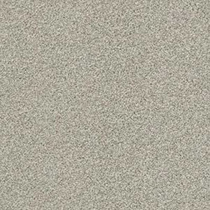 NOBLE CAUSE II in Flax Carpet