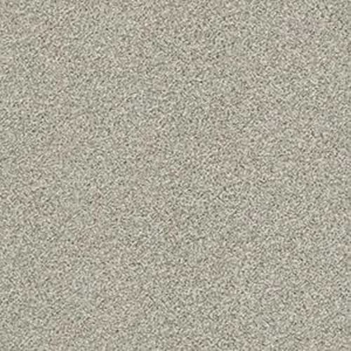 NOBLE CAUSE II in Flax Carpet