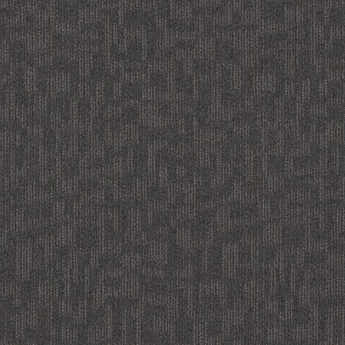 BARTON DRIVE in Arrange Carpet