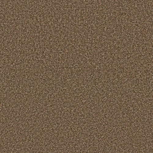 TRADER BAY in Good Earth Carpet