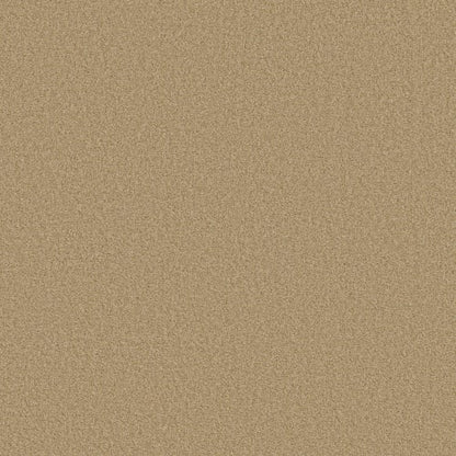 DESIGNER IMAGE I