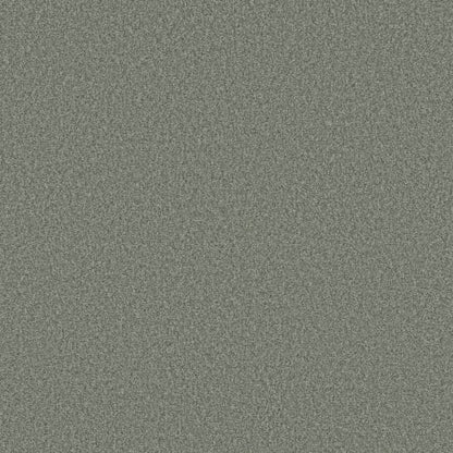 DESIGNER IMAGE I