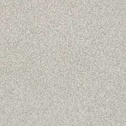 DESIGNER IMAGE I in Stucco Carpet