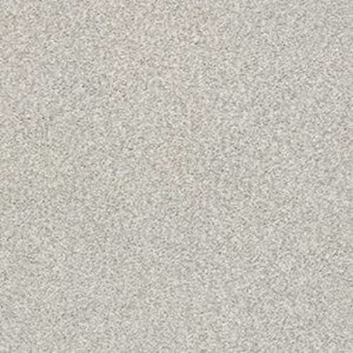 DESIGNER IMAGE I in Stucco Carpet