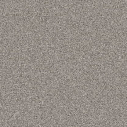 DESIGNER IMAGE I