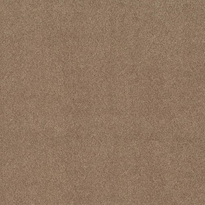 DESIGNER IMAGE I