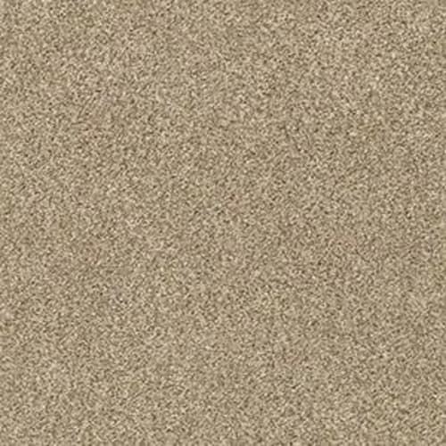 DESIGNER IMAGE I