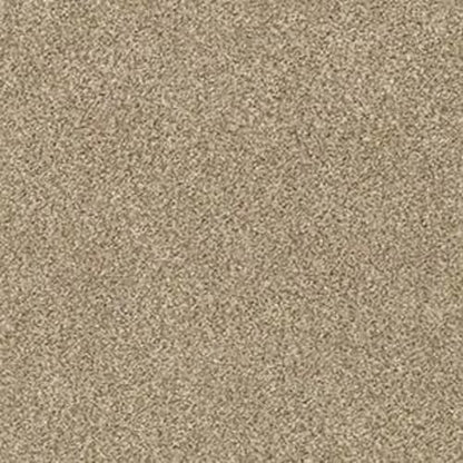 DESIGNER IMAGE I
