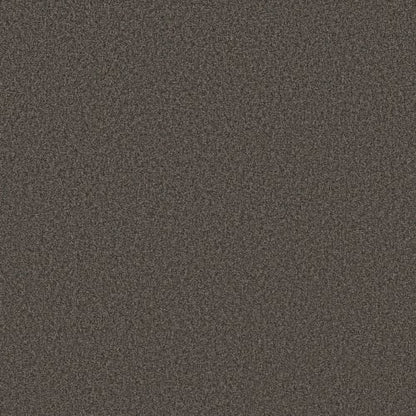 DESIGNER IMAGE I