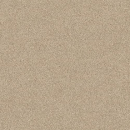 DESIGNER IMAGE II