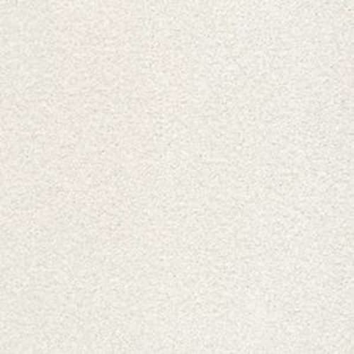 DESIGNER IMAGE II