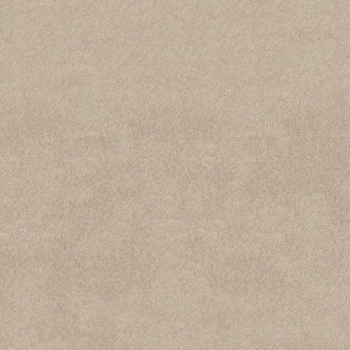 DESIGNER IMAGE II