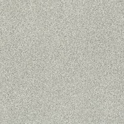 DESIGNER IMAGE II