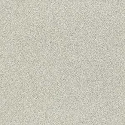 DESIGNER IMAGE II