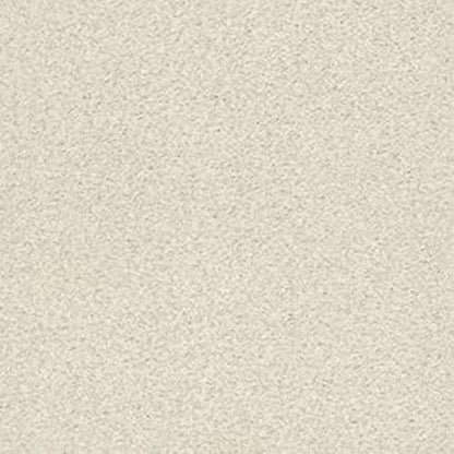 DESIGNER IMAGE II