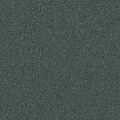 DESIGNER IMAGE II