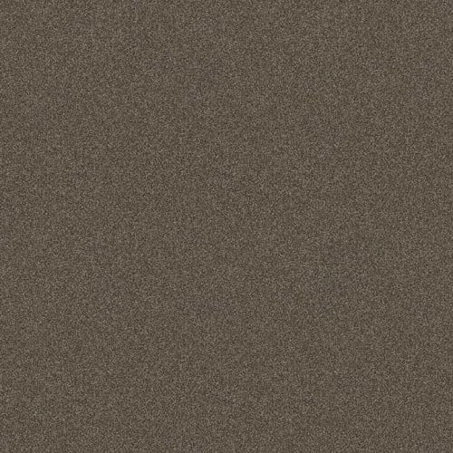 DESIGNER IMAGE II