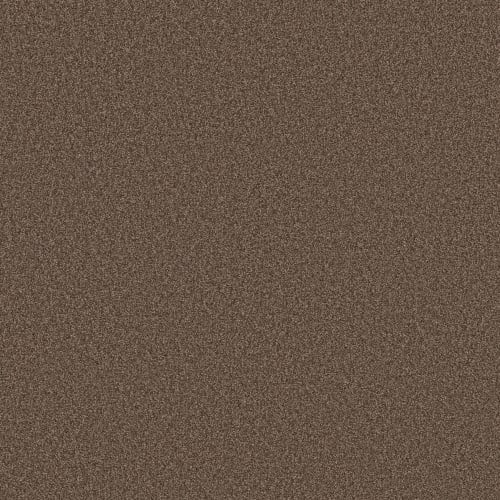 DESIGNER IMAGE II in Coffee Bean Carpet