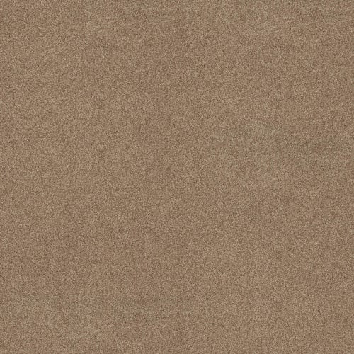 DESIGNER IMAGE II