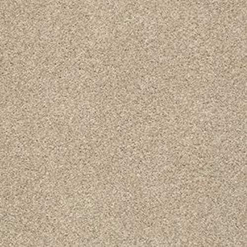 DESIGNER IMAGE II