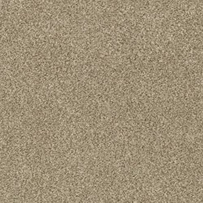 DESIGNER IMAGE II