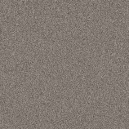 DESIGNER IMAGE II