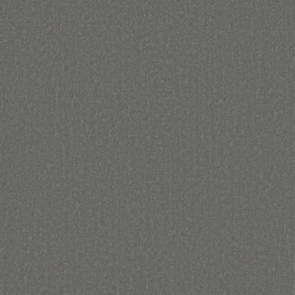 DESIGNER STYLE LG in Pencil Point Carpet