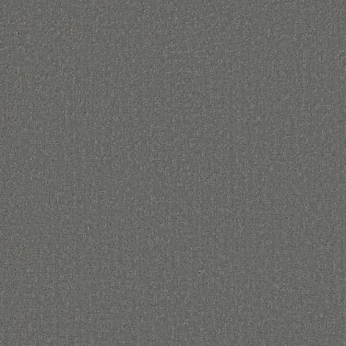 DESIGNER STYLE LG in Pencil Point Carpet