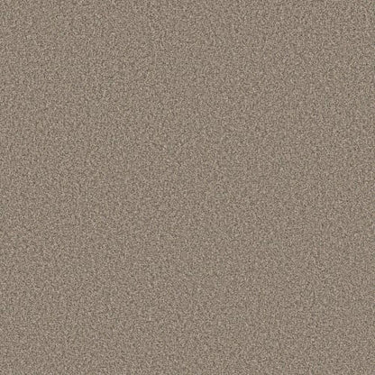 DESIGNER DETAILS I
