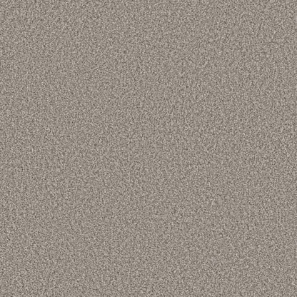 DESIGNER DETAILS II in Home Coming Carpet