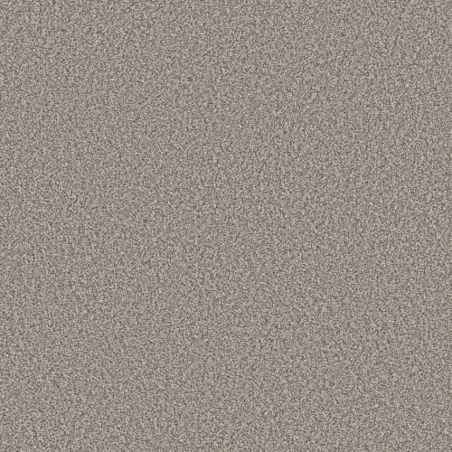 DESIGNER DETAILS II in Home Coming Carpet