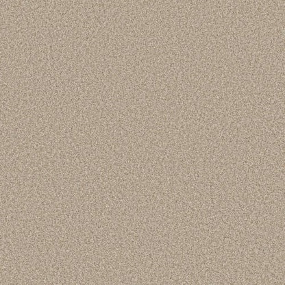 DESIGNER DETAILS LG