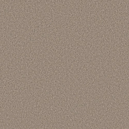 DESIGNER DETAILS LG in Wheat Carpet
