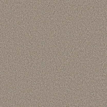 ENDLESS APPEAL II