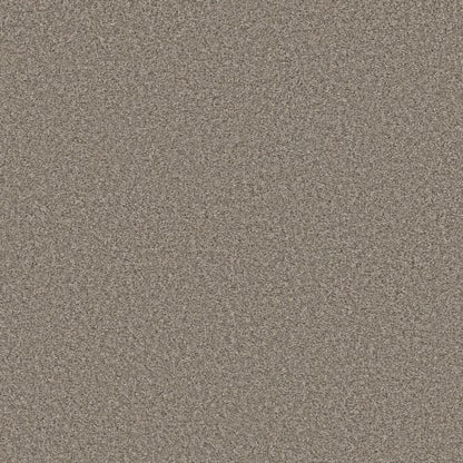 ENDLESS APPEAL II