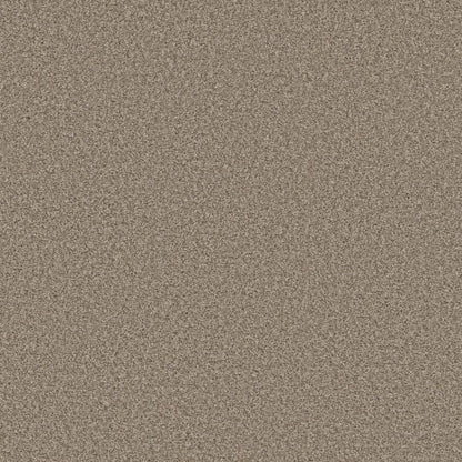 ENDLESS APPEAL II