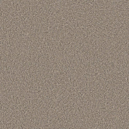 ENDLESS APPEAL II