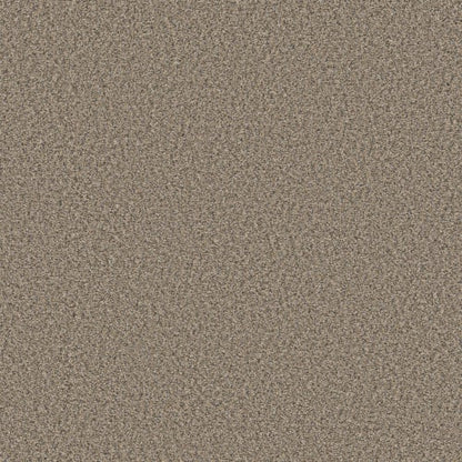 ENDLESS APPEAL II