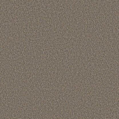 ENDLESS APPEAL II